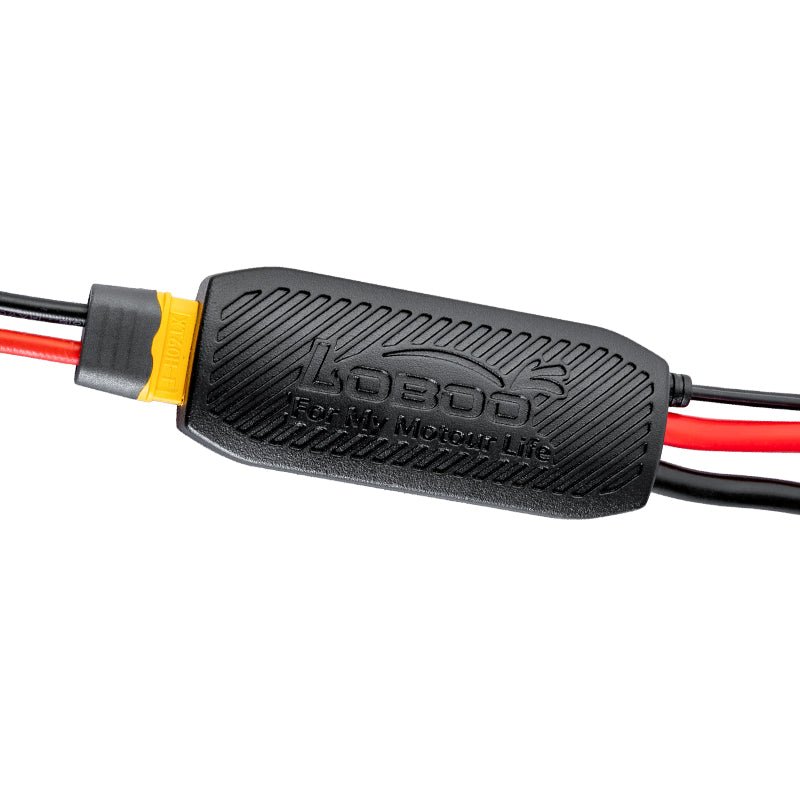 PROTECTEUR DE BATTERIE INTELLIGENT LOBOO CB10