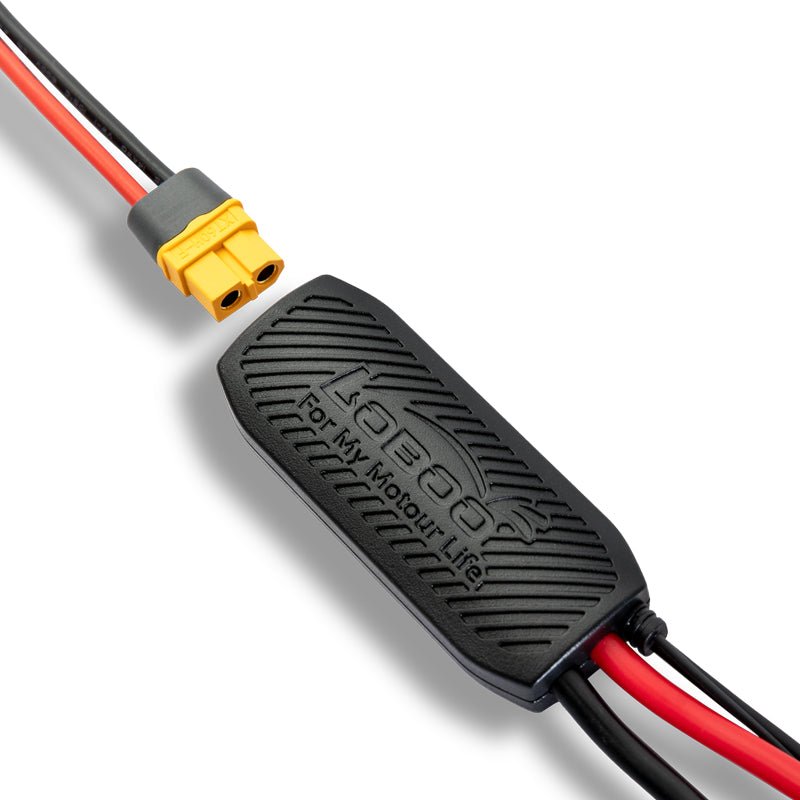 PROTECTEUR DE BATTERIE INTELLIGENT LOBOO CB10