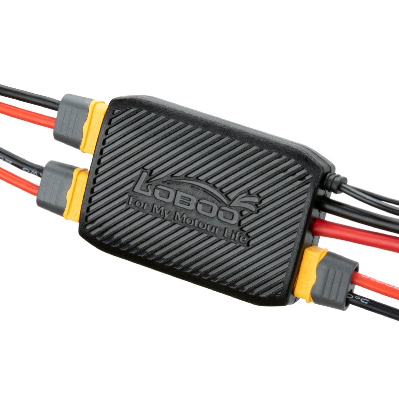 PROTECTEUR DE BATTERIE INTELLIGENT LOBOO CB10