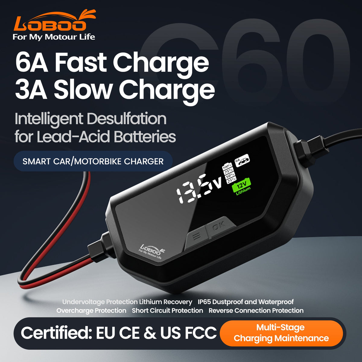 CHARGEUR MAINTENEUR DE BATTERIE LOBOO C60