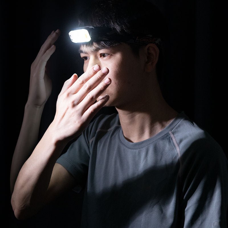 LAMPE LED INTELLIGENTE LOBOO LR06 / LR08