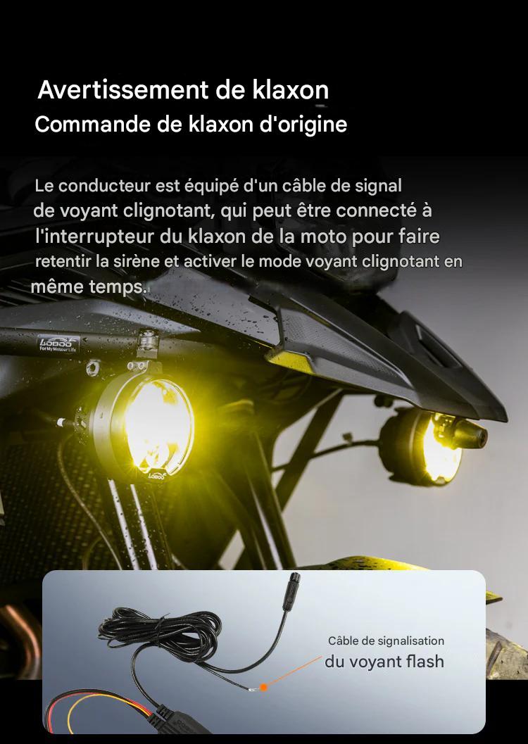 FEUX ADDITIONNELS LOBOO L16