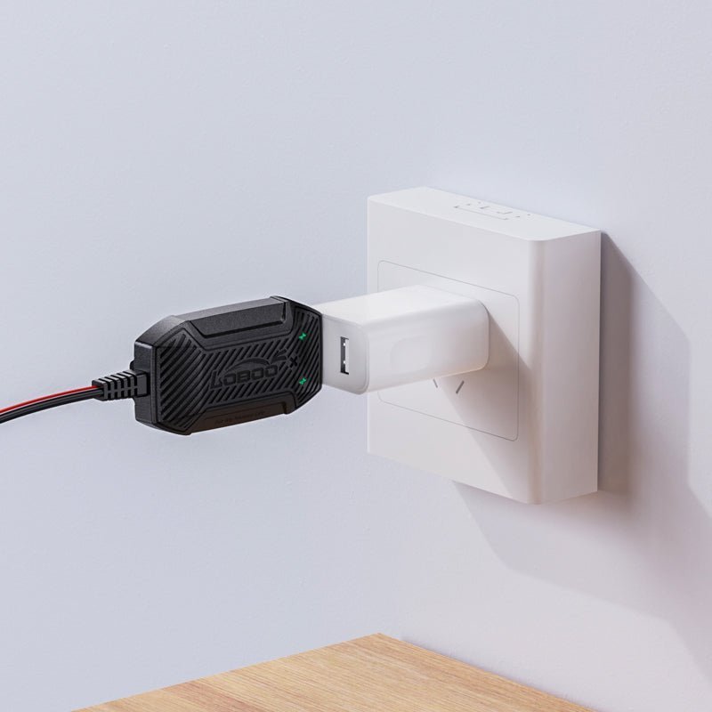MINI CHARGEUR DE BATTERIE LOBOO C20PRO