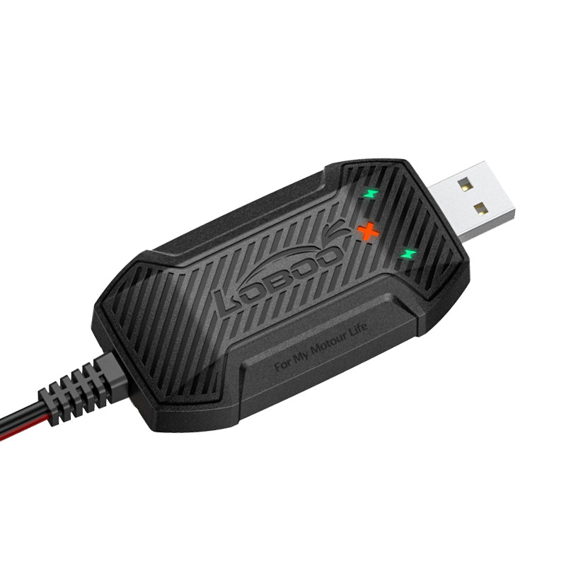 MINI CHARGEUR DE BATTERIE LOBOO C20PRO