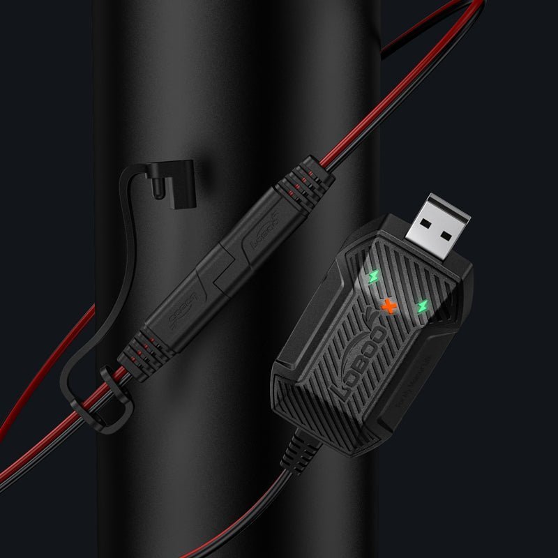 MINI CHARGEUR DE BATTERIE LOBOO C20PRO