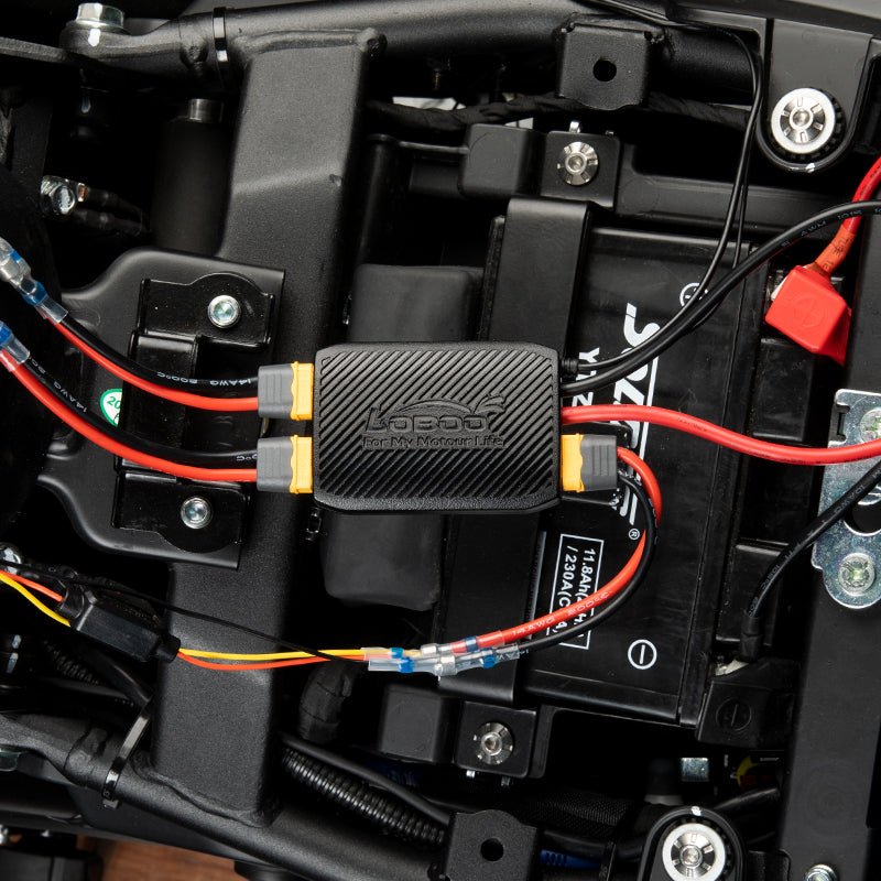 PROTECTEUR DE BATTERIE INTELLIGENT LOBOO CB10