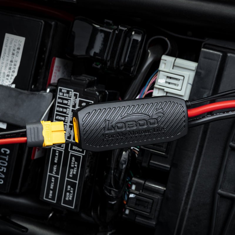 PROTECTEUR DE BATTERIE INTELLIGENT LOBOO CB10