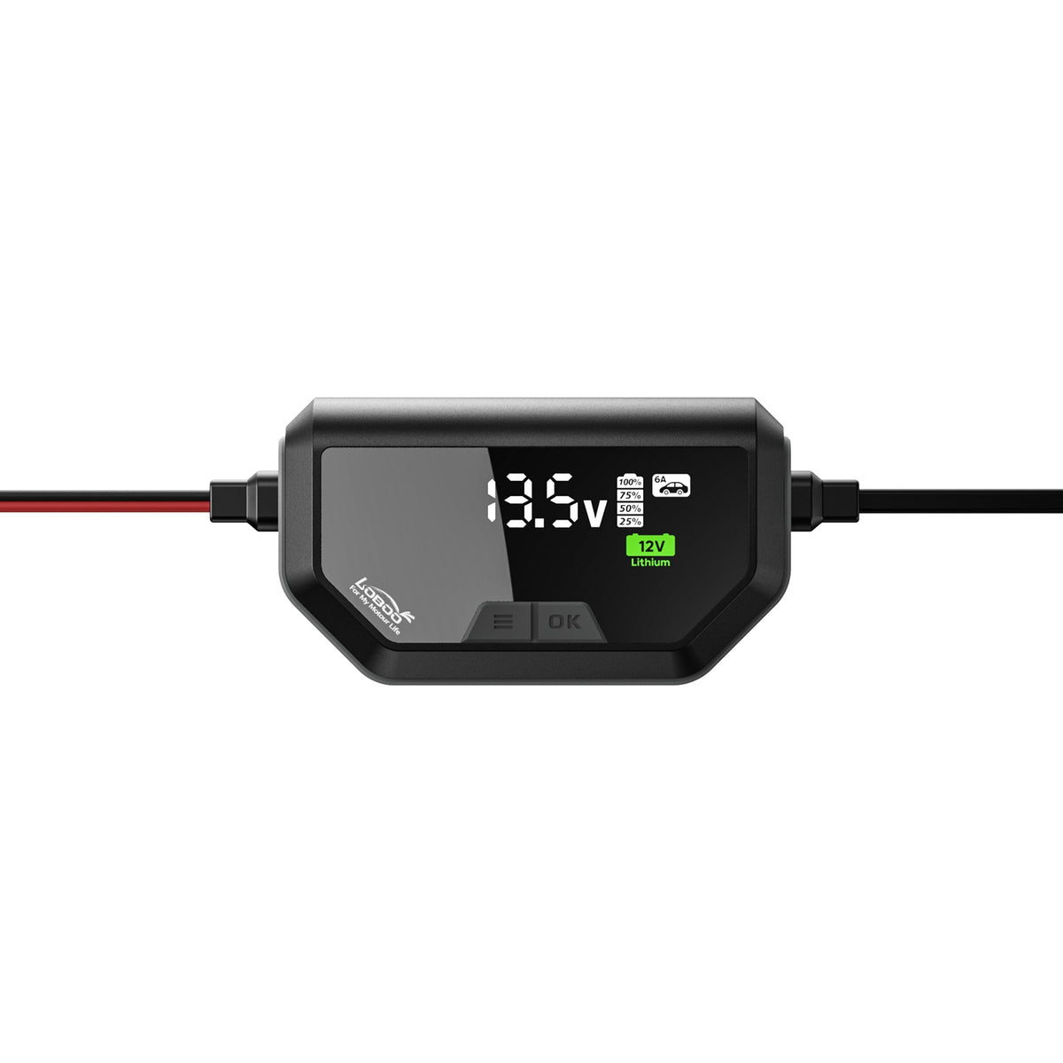 CHARGEUR MAINTENEUR DE BATTERIE LOBOO C60