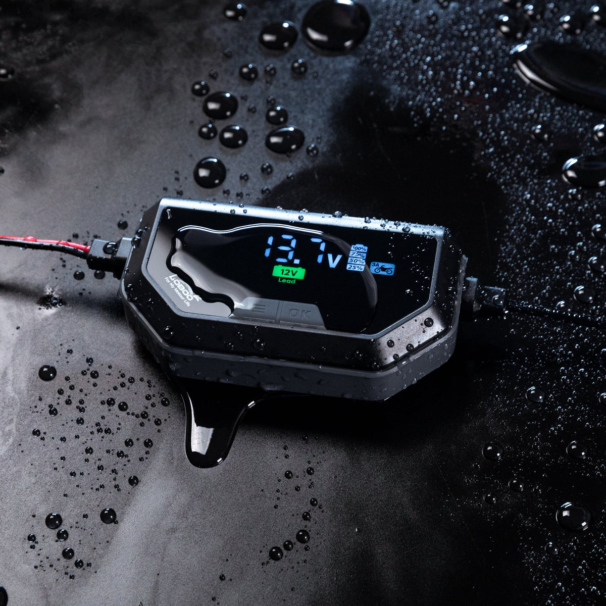 CHARGEUR MAINTENEUR DE BATTERIE LOBOO C60