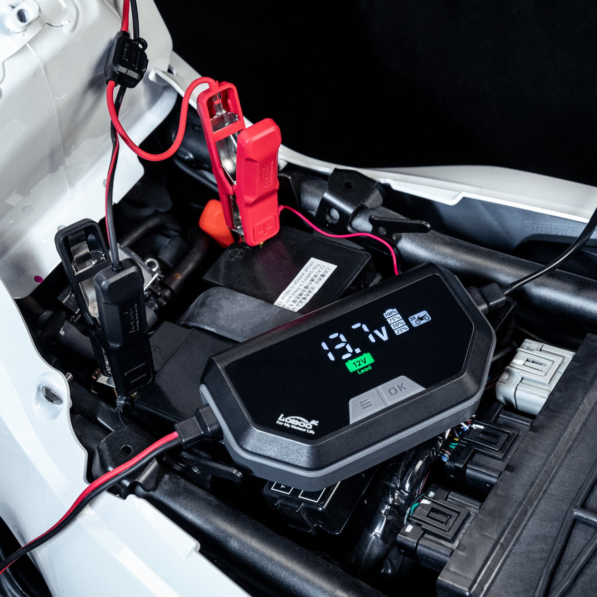 CHARGEUR MAINTENEUR DE BATTERIE LOBOO C60