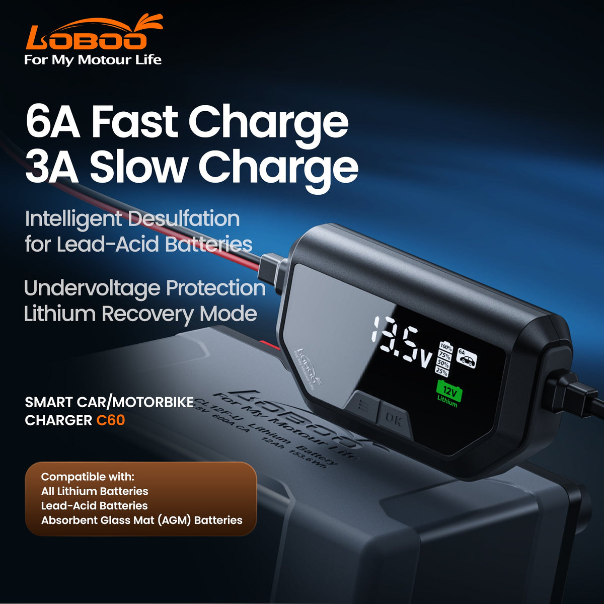 CHARGEUR MAINTENEUR DE BATTERIE LOBOO C60