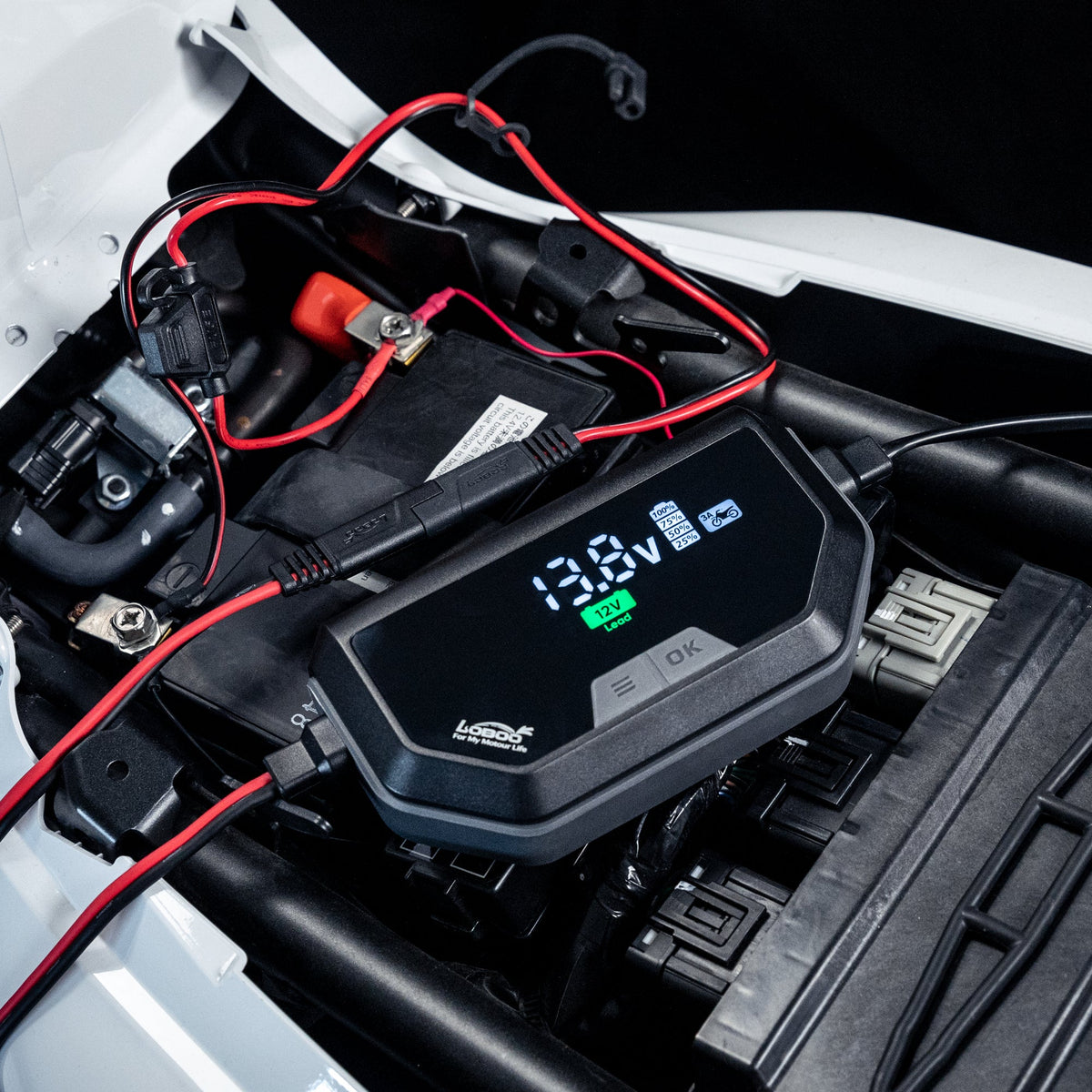 CHARGEUR MAINTENEUR DE BATTERIE LOBOO C60